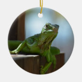 Curieuze Iguana Keramisch Ornament (Voorkant)