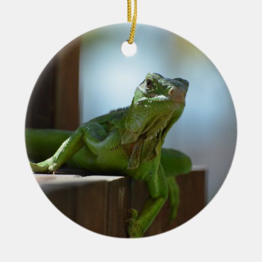 Curieuze Iguana Keramisch Ornament (Voorkant)