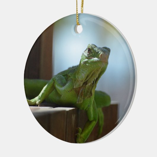 Curieuze Iguana Keramisch Ornament (Links)