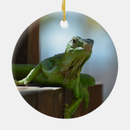 Curieuze Iguana Keramisch Ornament (Achterkant)