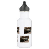 Curieuze Iguana Waterfles (Rechts)