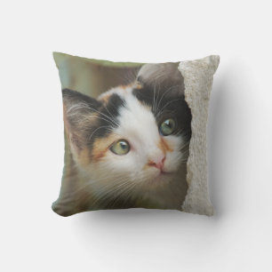 Curieuze kat Kitten Prying Eyes - voor buitenzijde Buitenkussen