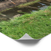 Curieuze Koeien van Frisian Holstein Poster (Hoek)