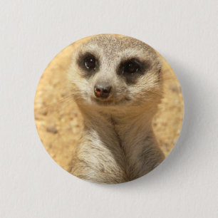 Curieuze Meerkat Round Pin Ronde Button 5,7 Cm