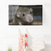 curieuze ratten spandoek (Insitu)
