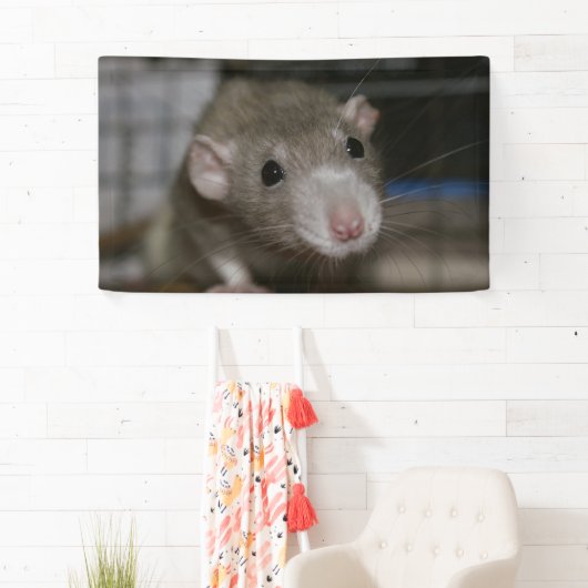 curieuze ratten spandoek (Insitu)