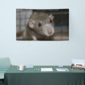 curieuze ratten spandoek (Beurs)