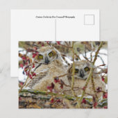 Curieuze Schattige eigenaar Briefkaart (Voorkant / Achterkant)