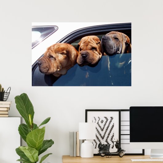Curieuze Shar Pei Poster (Thuiskantoor)