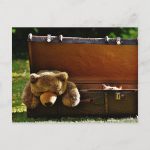 Curieuze Suitcase Kitten met Stuffed Teddy Briefkaart