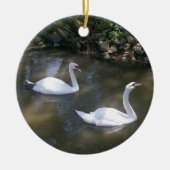 Curieuze Swans Ornament (Voorkant)