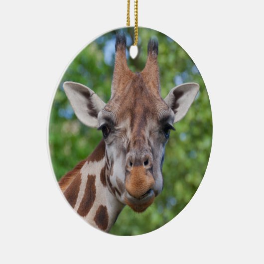 Curios Giraffe Keramisch Ornament (Rechts)