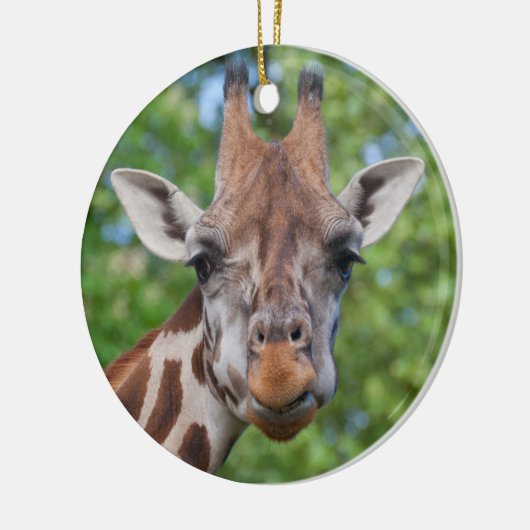Curios Giraffe Keramisch Ornament (Links)