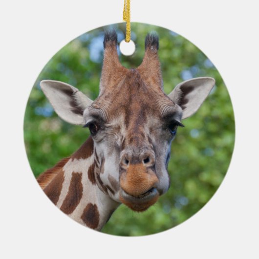 Curios Giraffe Keramisch Ornament (Achterkant)