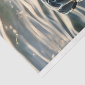 Curios Trio Schildpadden van de Deep Decoupage Tissuepapier (Detail)