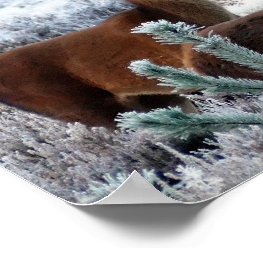 curiositeit-hert-poster poster (Hoek)