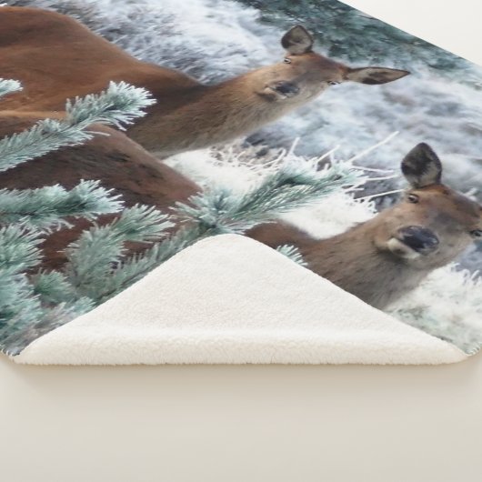 curiositeitshertendeken sherpa deken (3/4)