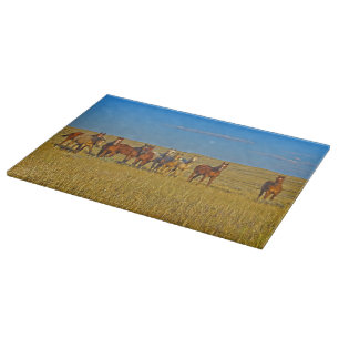 Curiositeitsplok voor paarden snijplank