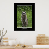 "CURIOSITY" Coon Photo Posters (Keuken)