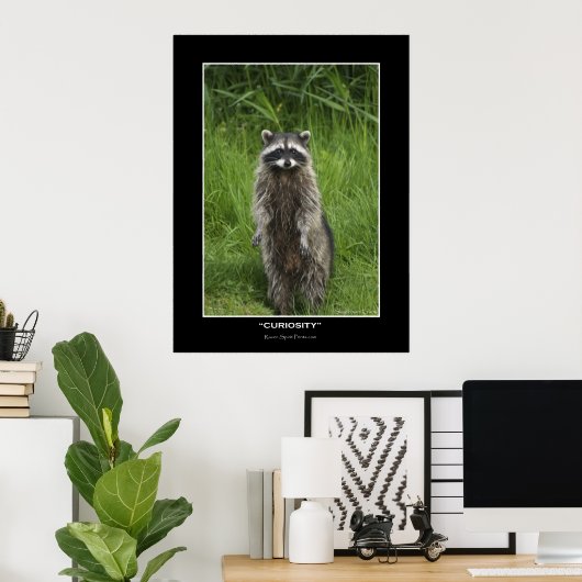 "CURIOSITY" Coon Photo Posters (Thuiskantoor)