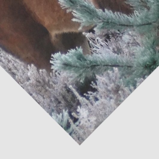 curiosity deer tissue paper tissuepapier (Detail)