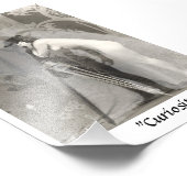 Curiosity Foto Afdruk (Hoek)