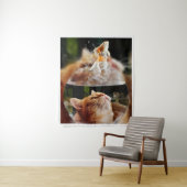 Curiosity in a Fishbowl – The Cat’s Dream Wandkleed (In situ)