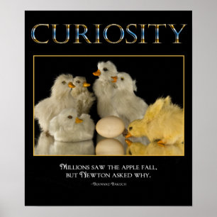 CURIOSITY POSTER