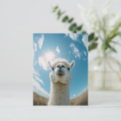 Curious Alpaca onder de zon Briefkaart (Staand voorkant)