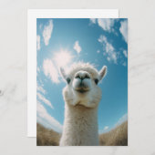 Curious Alpaca onder de zon Kaart (Voorkant / Achterkant)