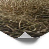 Curious Alpaca onder de zon Poster (Hoek)