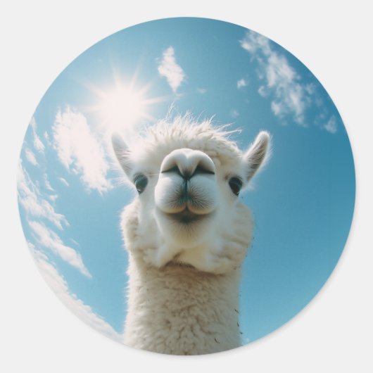 Curious Alpaca onder de zon Ronde Sticker (Voorkant)