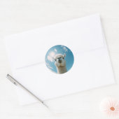Curious Alpaca onder de zon Ronde Sticker (Envelop)
