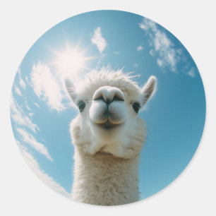 Curious Alpaca onder de zon Ronde Sticker