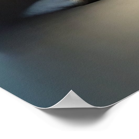 Curious Apes Poster (Hoek)