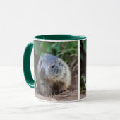 Curious Baby Marmot Mok (Voorkant links)