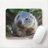 Curious Baby Marmot Muismat (Met muis)