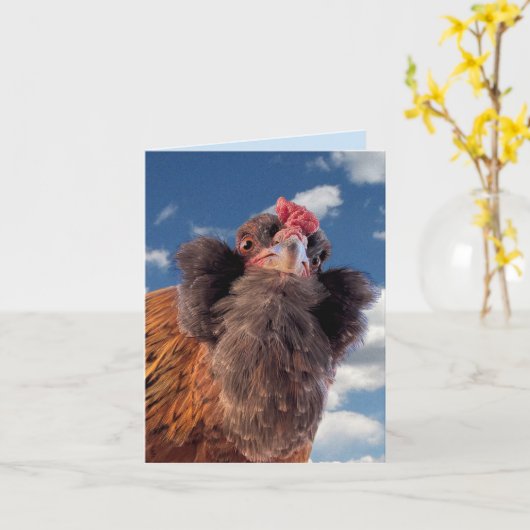 Curious Bearded Chicken Head Close-Up  Kaart (Gele Bloem)