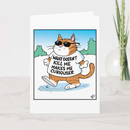 Curious Cat  Kaart (Voorkant)