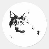 Curious Cat Vinyl Sticker (Voorkant)
