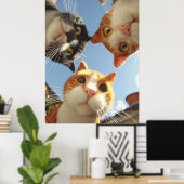 Curious Cats Looking Down Poster (Thuiskantoor)