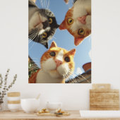 Curious Cats Looking Down Poster (Keuken)
