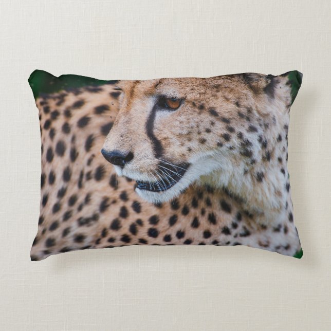 CURIOUS CHEETAH ACCENT KUSSEN (Voorkant)
