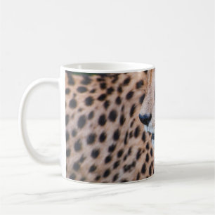 CURIOUS CHEETAH KOFFIEMOK