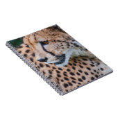 CURIOUS CHEETAH NOTITIEBOEK (Rechterzijde)
