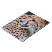 CURIOUS CHEETAH NOTITIEBOEK (Linkerzijde)
