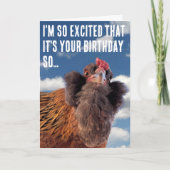 Curious Chicken Head Close-Up Photograph Kaart (Voorkant)