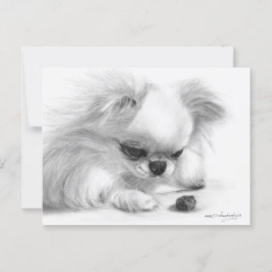 Curious Chihuahua Hand geschilderde hond kunstwerk Briefkaart