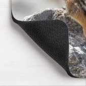 Curious Chipmunk – Canadese natuurfotografie Muismat (Hoek)