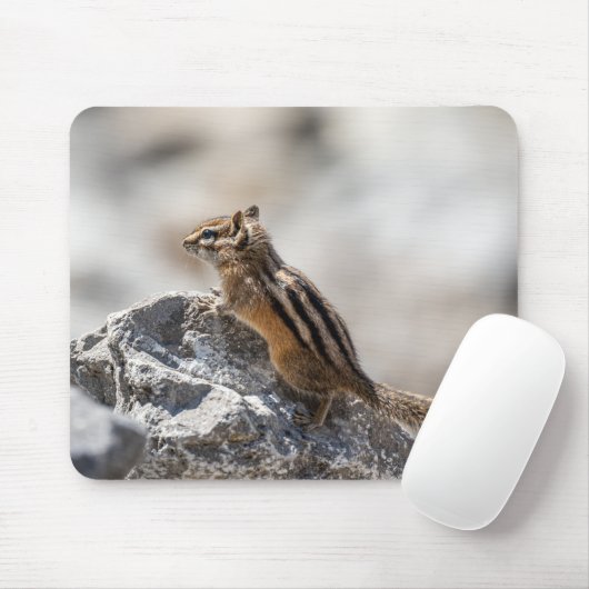 Curious Chipmunk – Canadese natuurfotografie Muismat (Met muis)